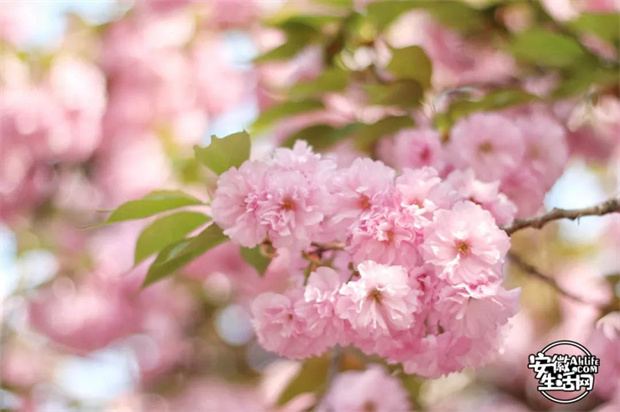 万利国际(中国集团)官方网站