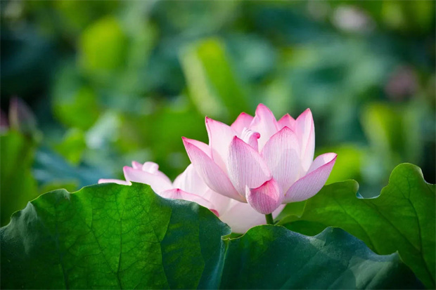 万利国际(中国集团)官方网站