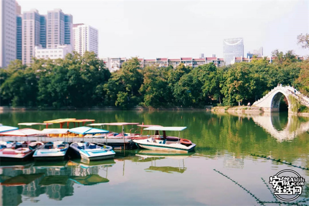 万利国际(中国集团)官方网站
