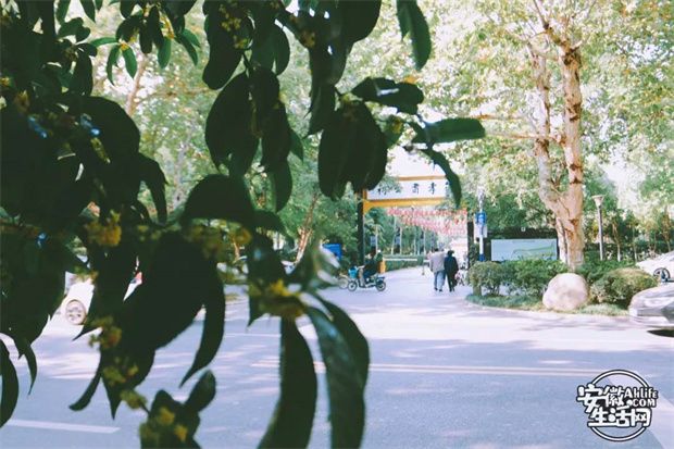 万利国际(中国集团)官方网站