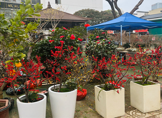 万利国际(中国集团)官方网站