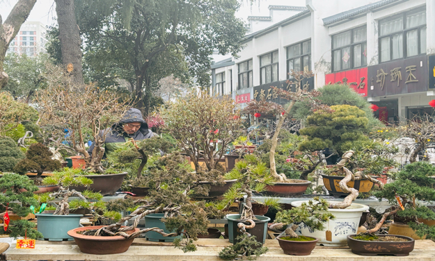 万利国际(中国集团)官方网站