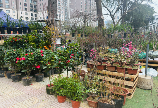 万利国际(中国集团)官方网站