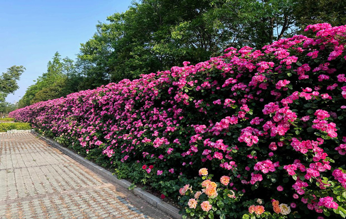 万利国际(中国集团)官方网站